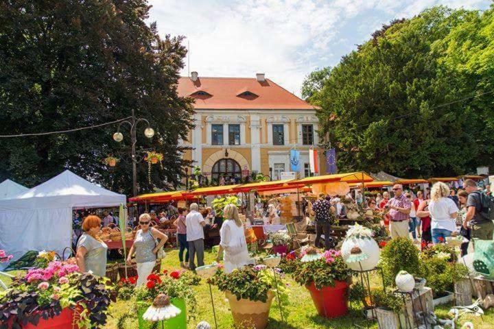 Der Kleine Bauernhof Keine Arbeiter Zadnych Pracownikow Apartman Lubiatow  Kültér fotó